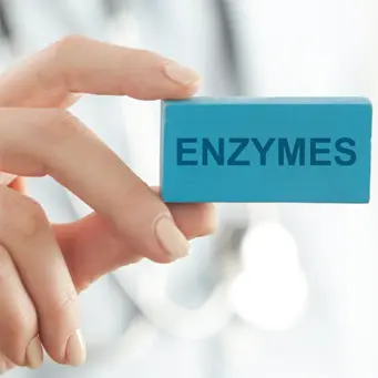 Enzim