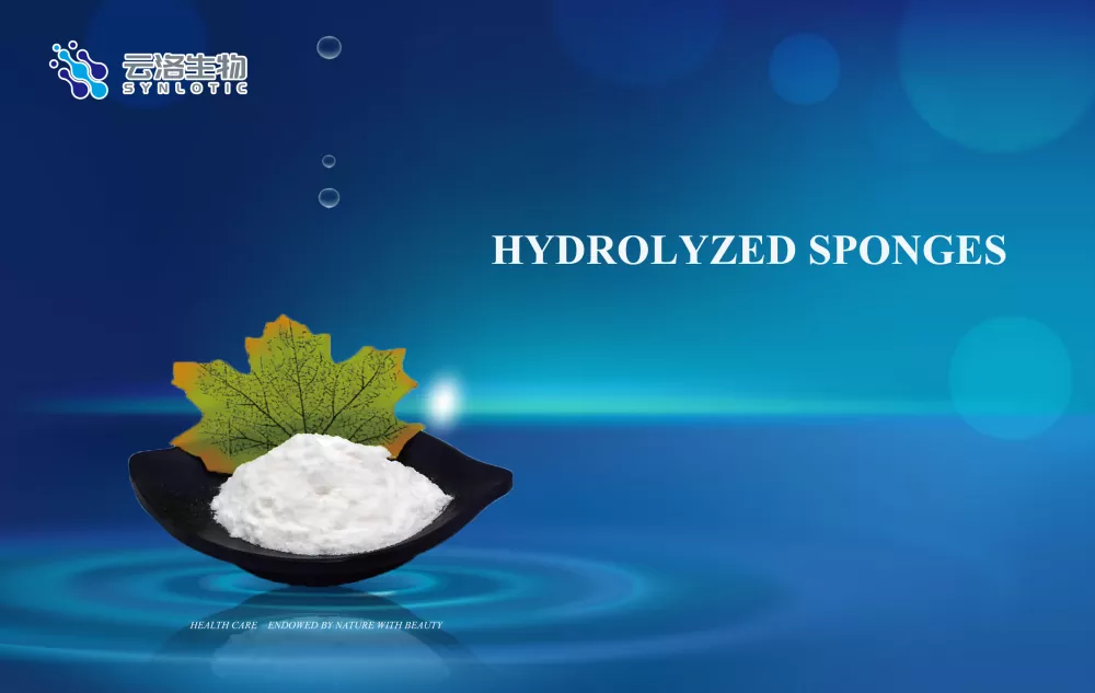Sponges hidrolisis