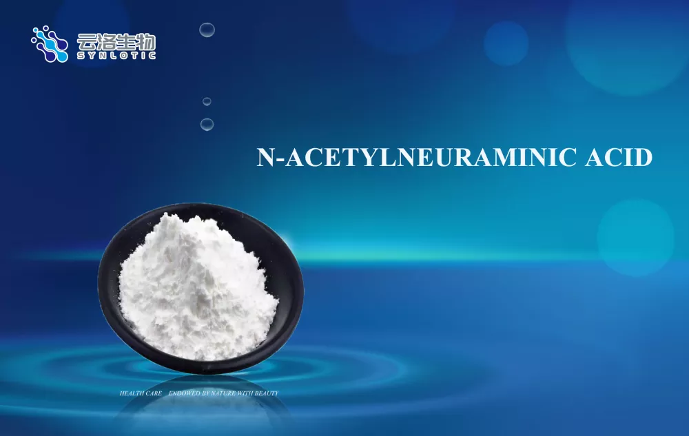 Asid n-acetylneuraminic
